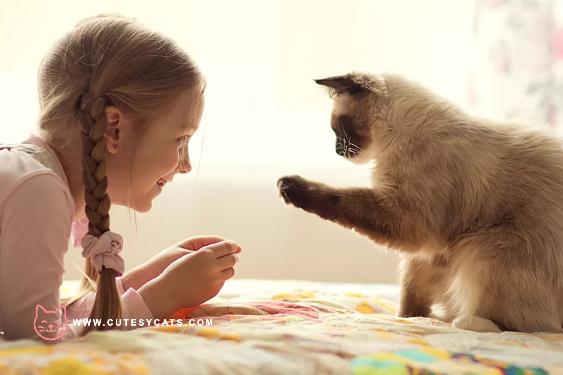 Are We Calling Cats the Wrong Way All Along?