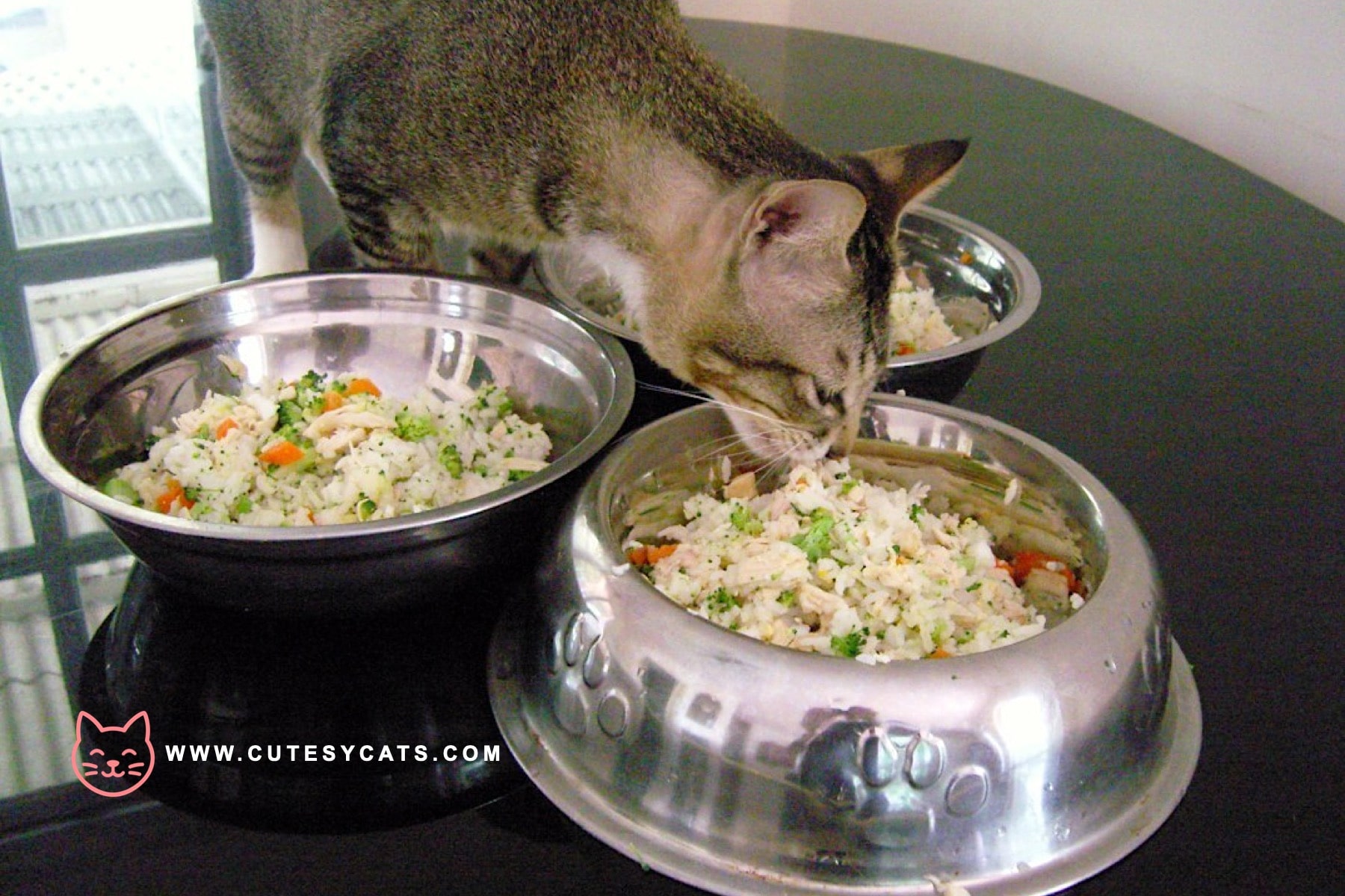 Is It Safe for Cats to Eat Rice?