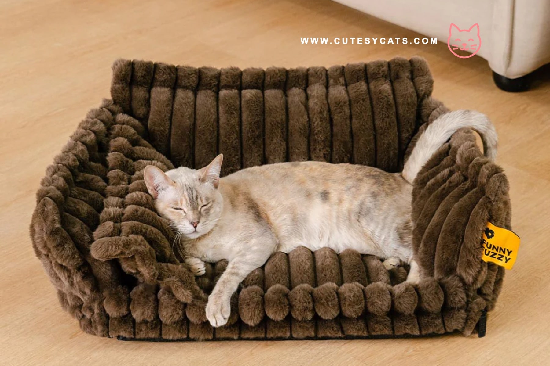 8 Christmas Gifts That Are Safe for Your Cat