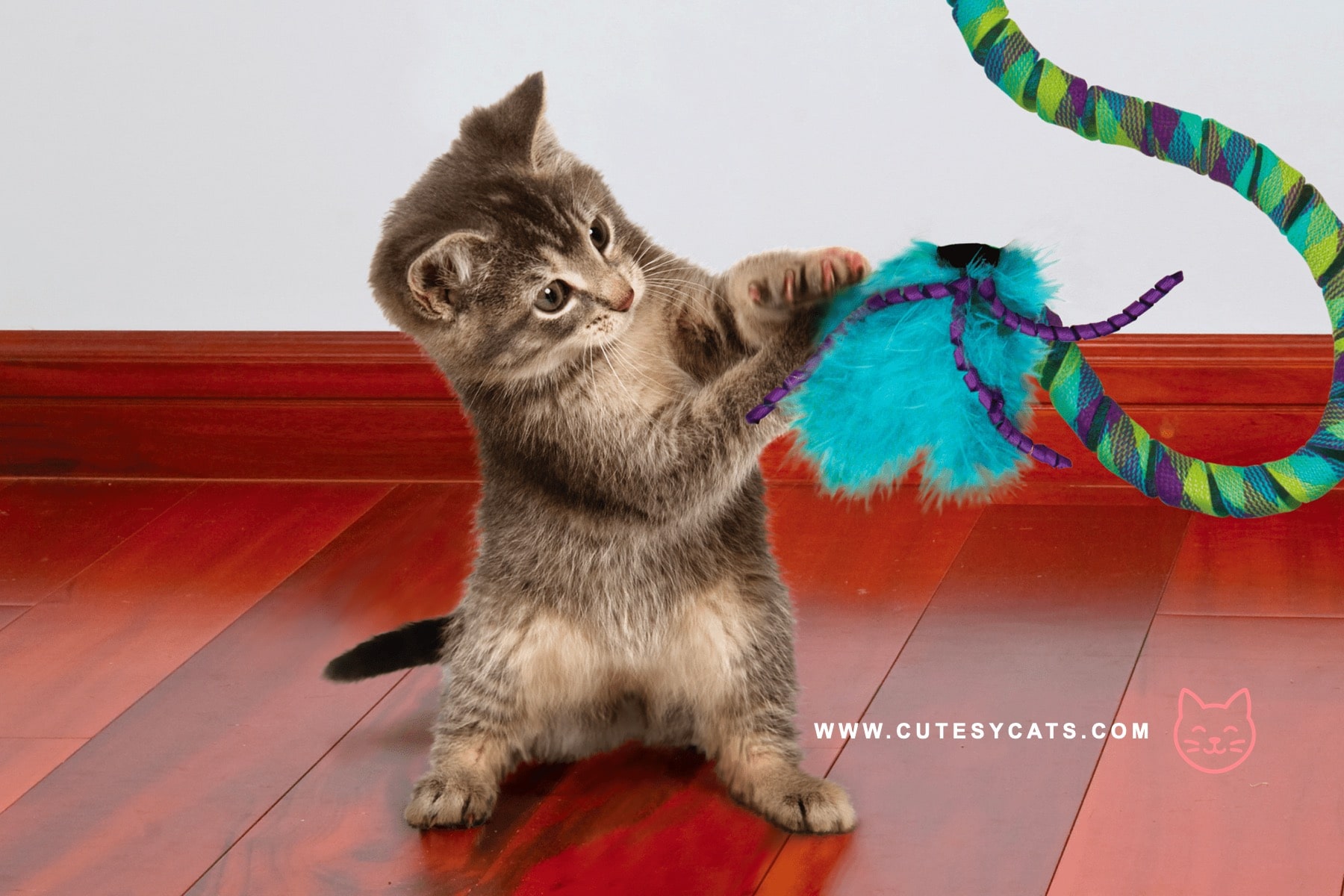 8 Christmas Gifts That Are Safe for Your Cat