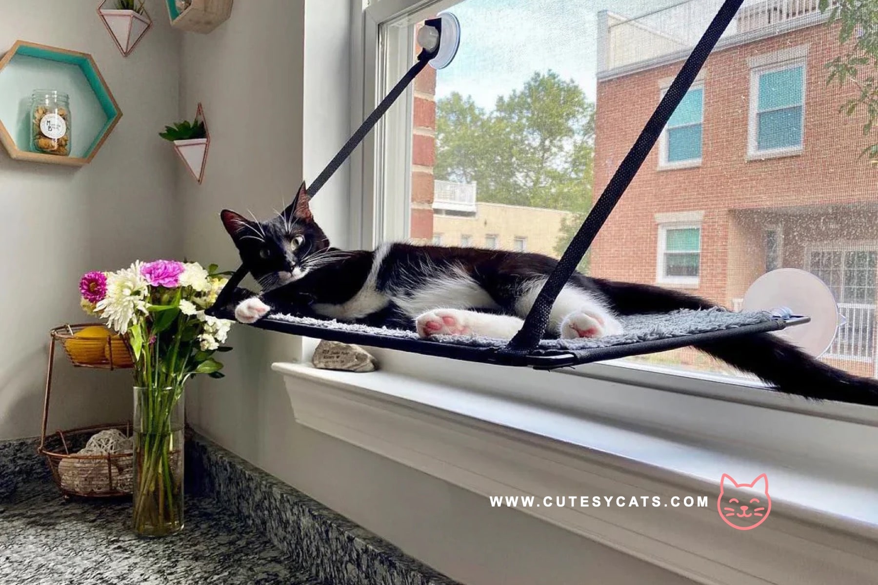 8 Christmas Gifts That Are Safe for Your Cat