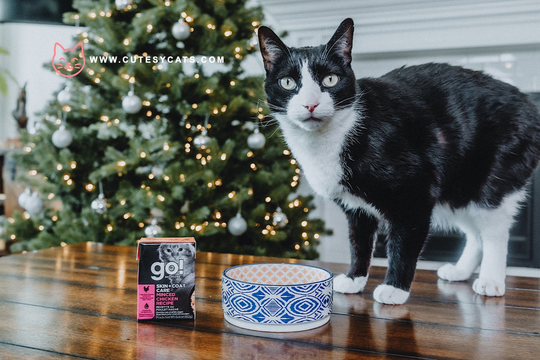 Can Cats Eat Christmas Dinner Leftovers?