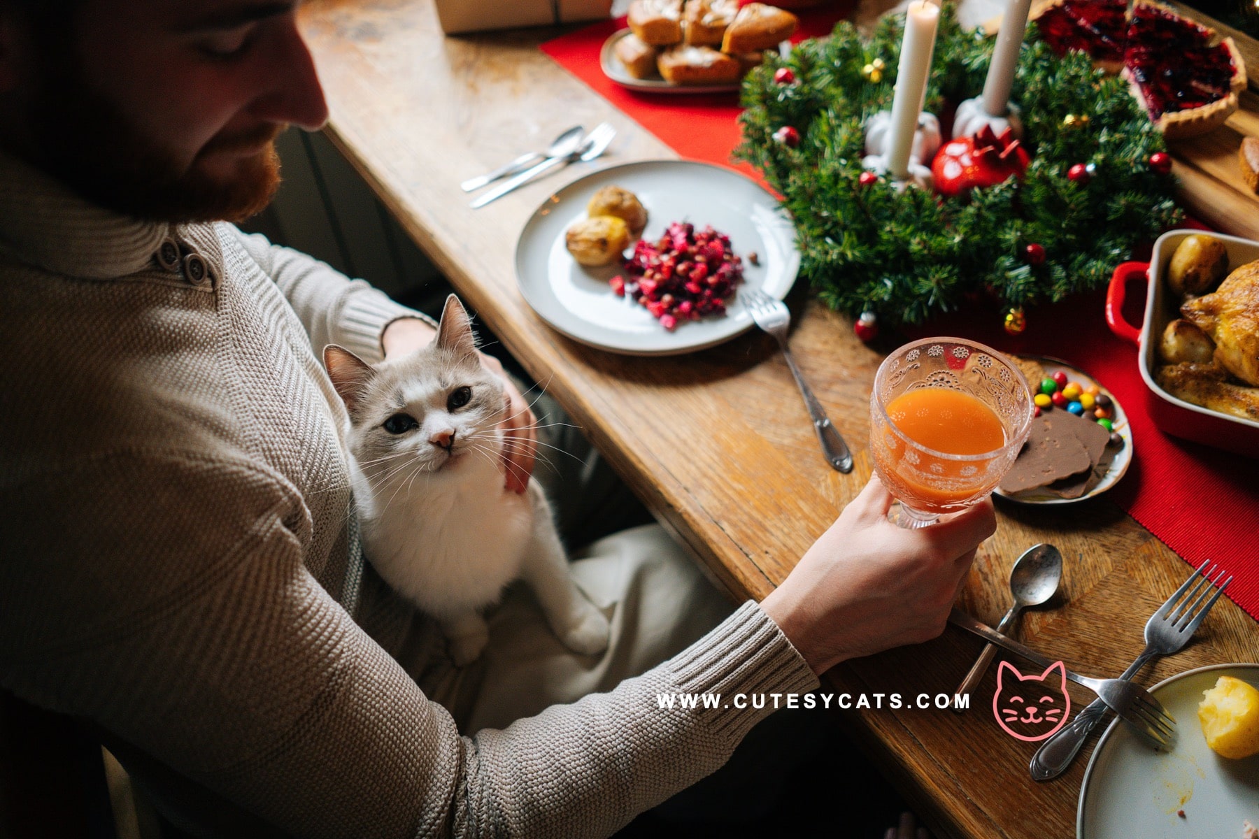 Can Cats Eat Christmas Dinner Leftovers?