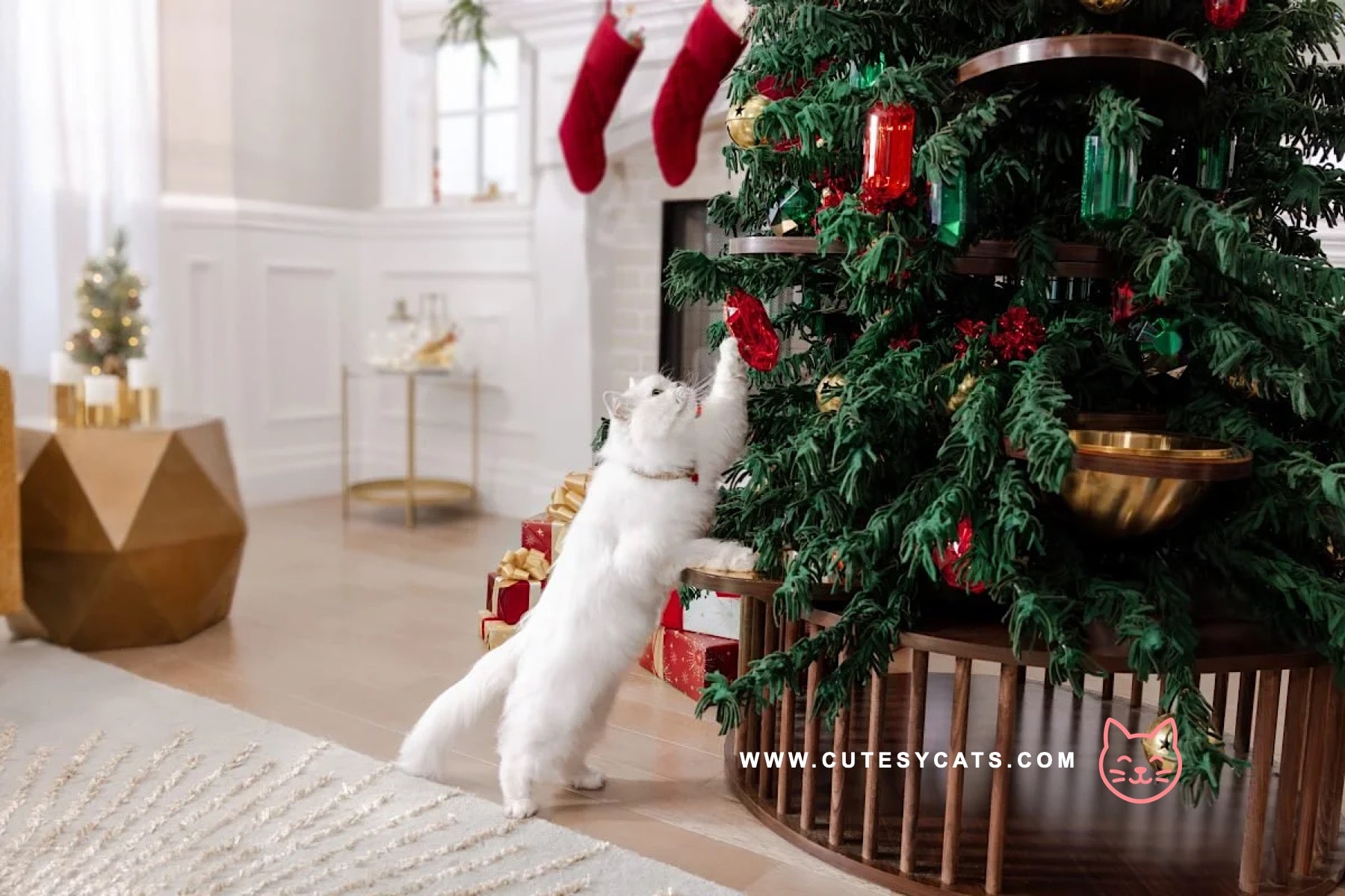 How Can You Keep Your Cat Safe by the Christmas Tree