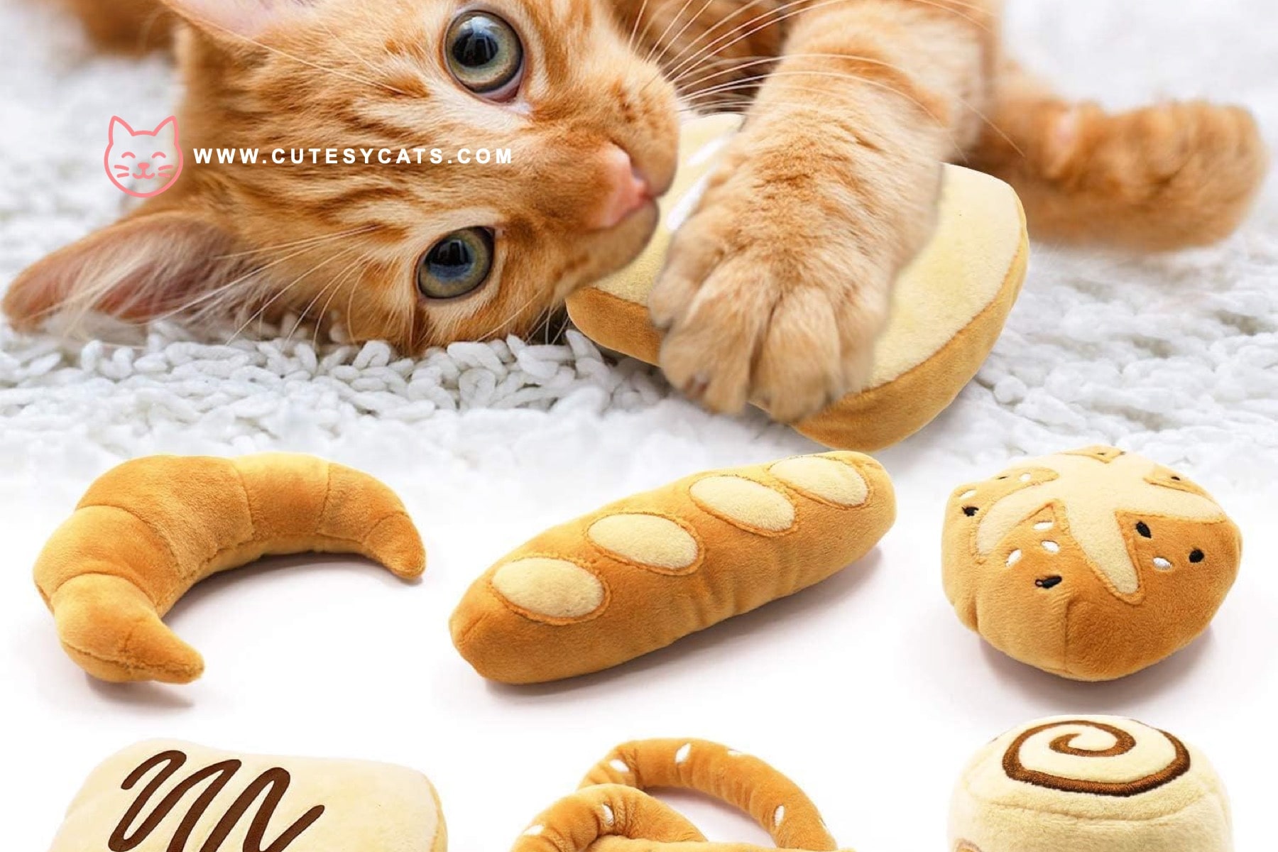Is It Safe for Cats to Eat Bread?