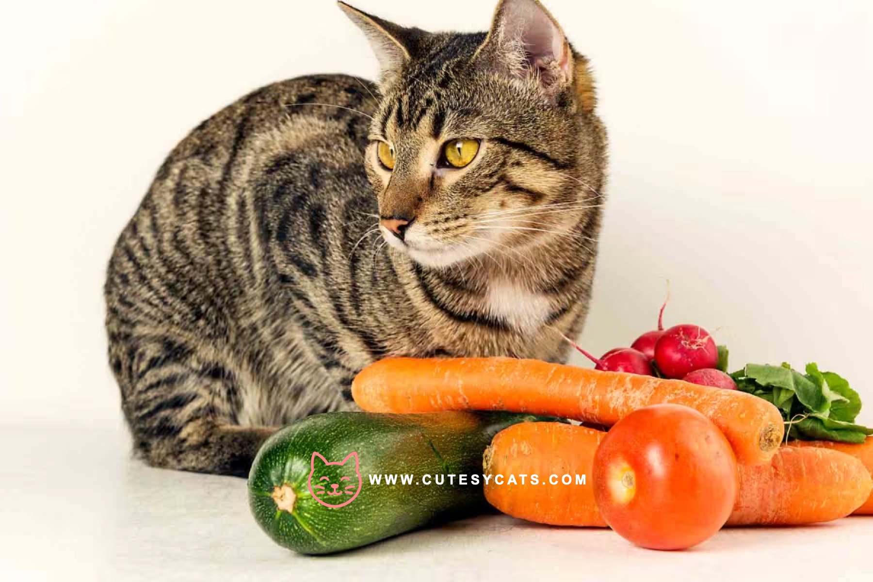 Is It Safe for Cats to Eat Carrots?