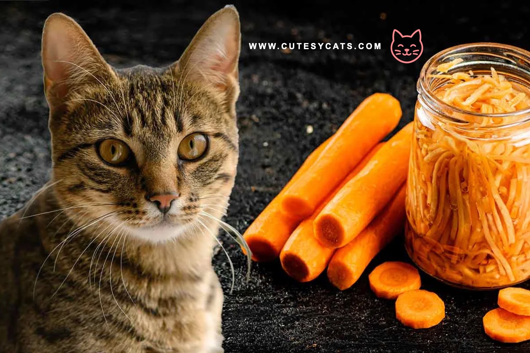 Is It Safe for Cats to Eat Carrots?