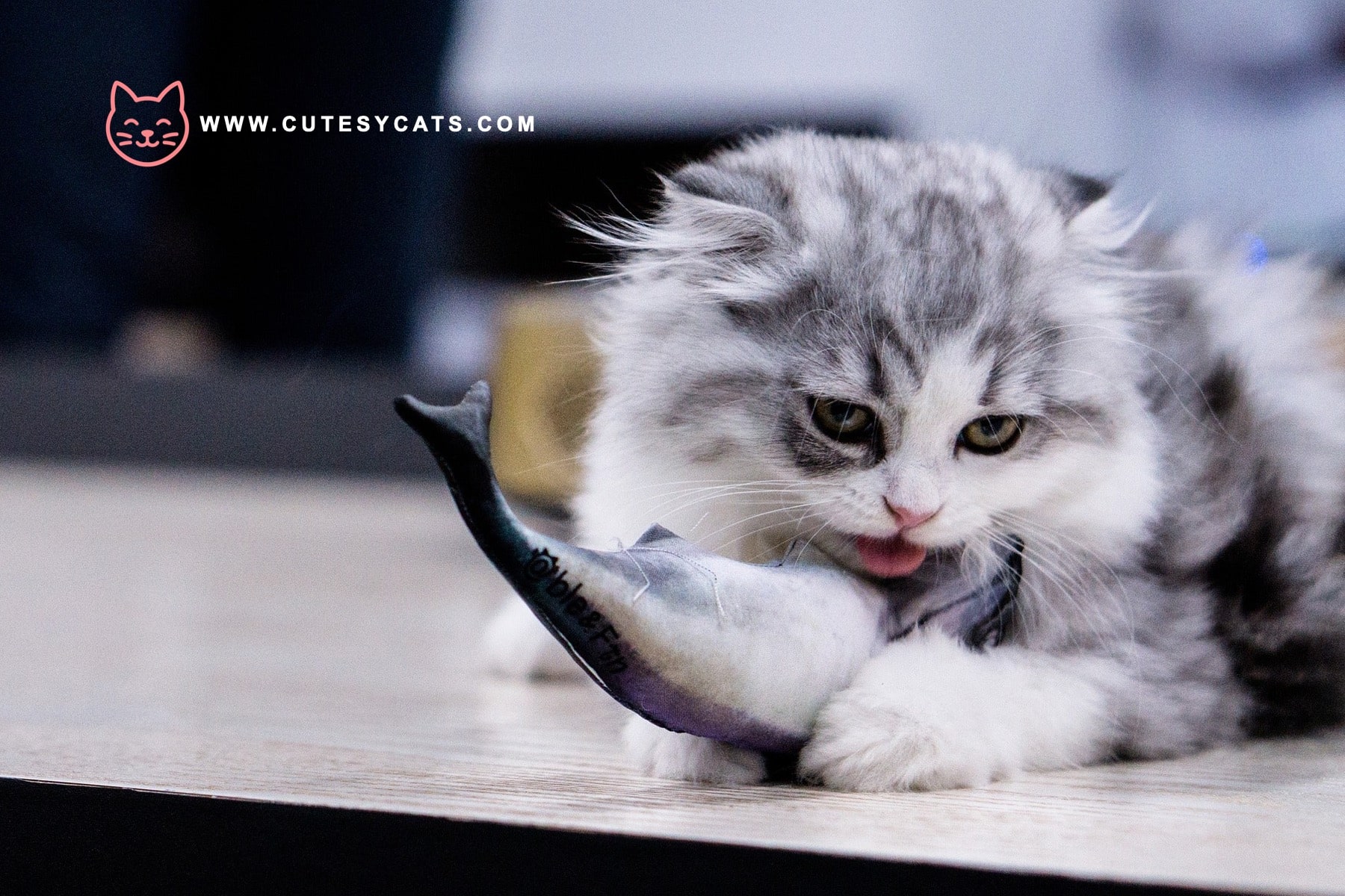 Is It Safe for Cats to Eat Fish?
