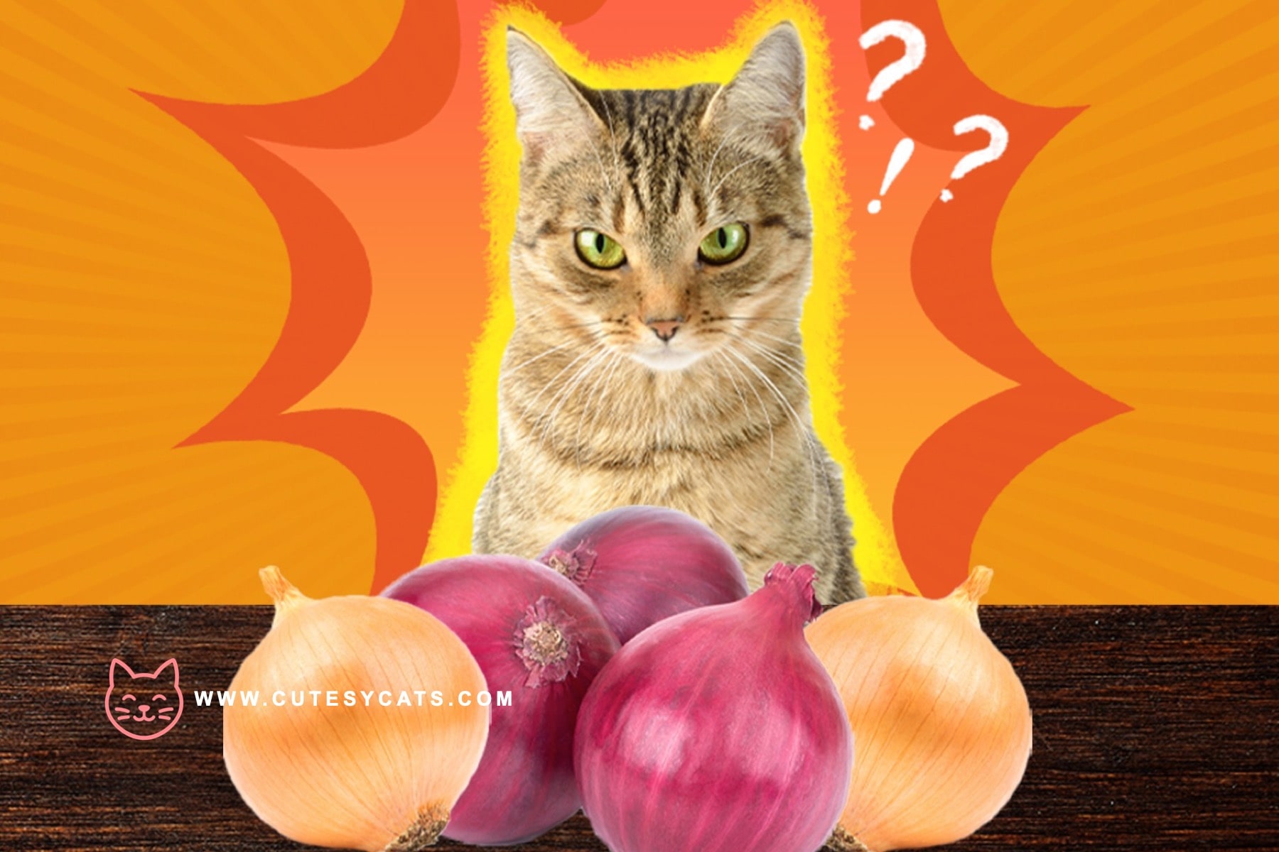 Is It Safe for Cats to Eat Onions?