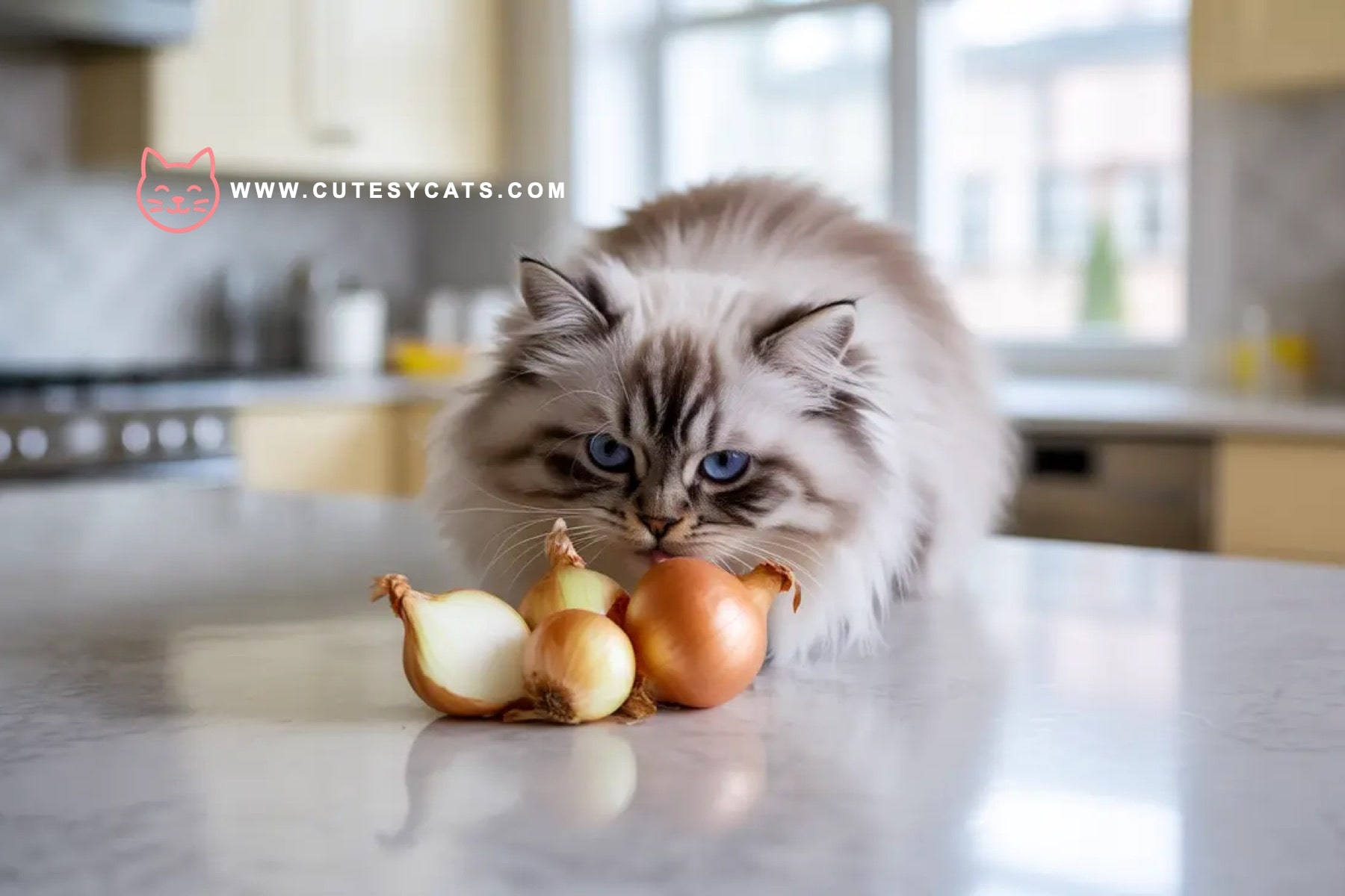 Is It Safe for Cats to Eat Onions?