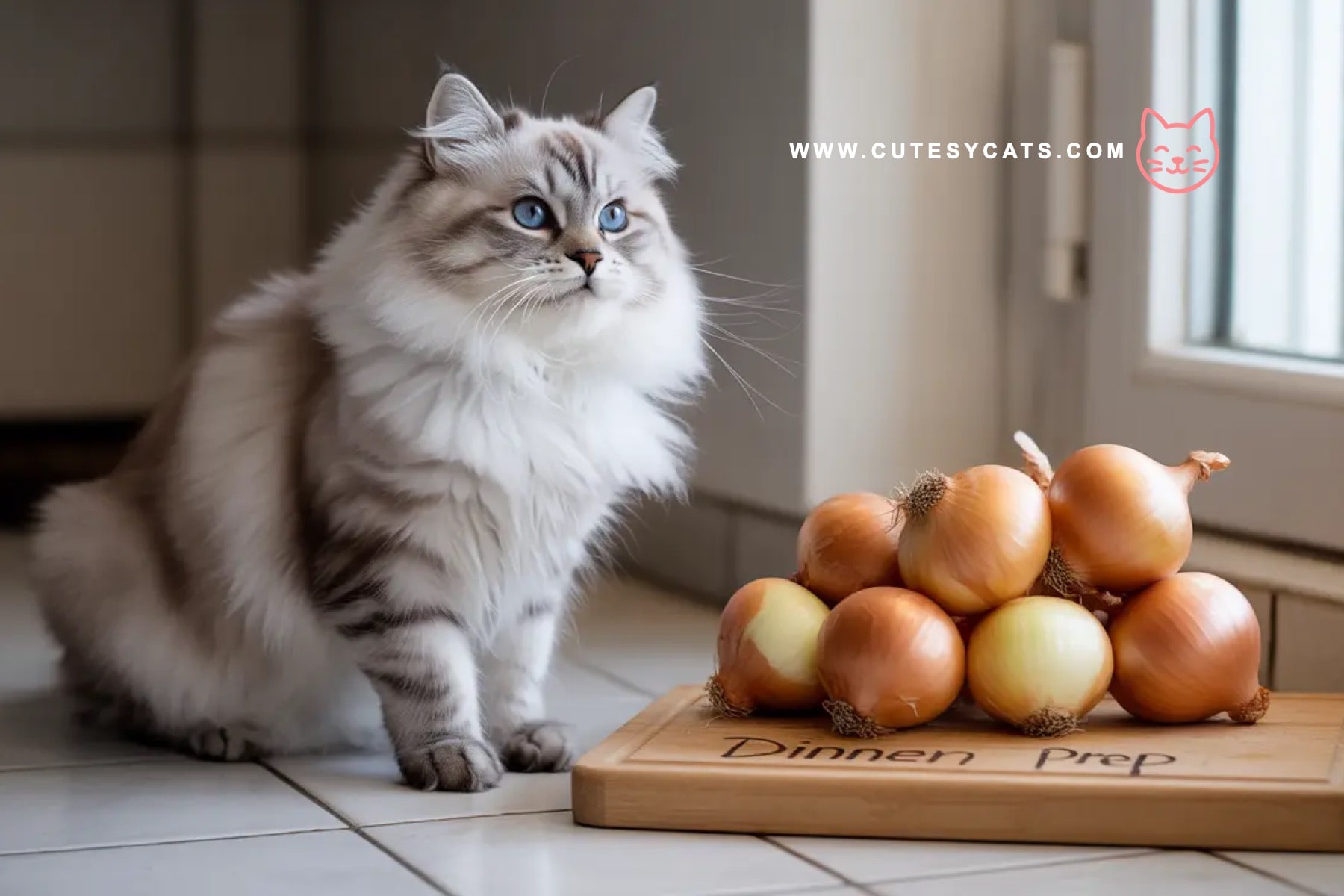 Is It Safe for Cats to Eat Onions?