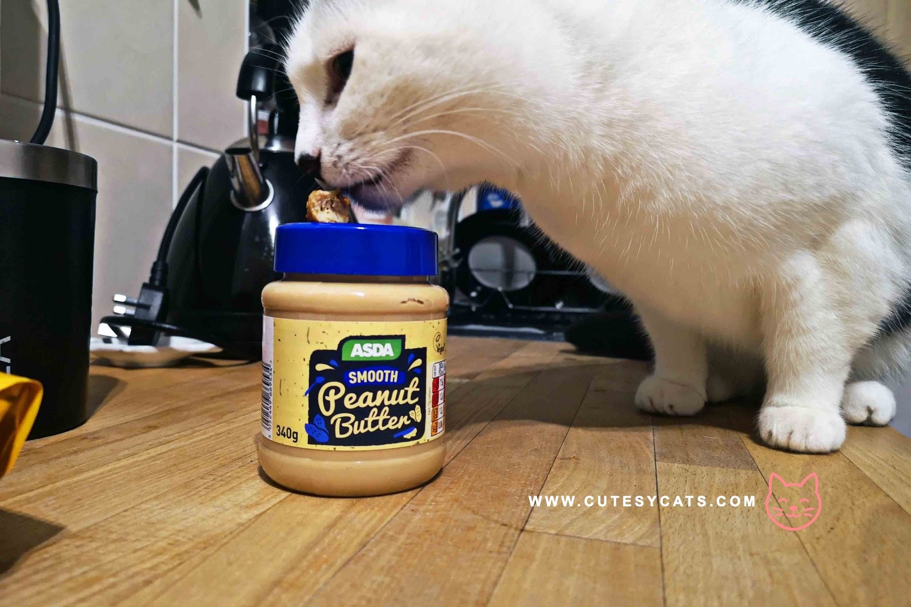 Is It Safe for Cats to Eat Peanut Butter?