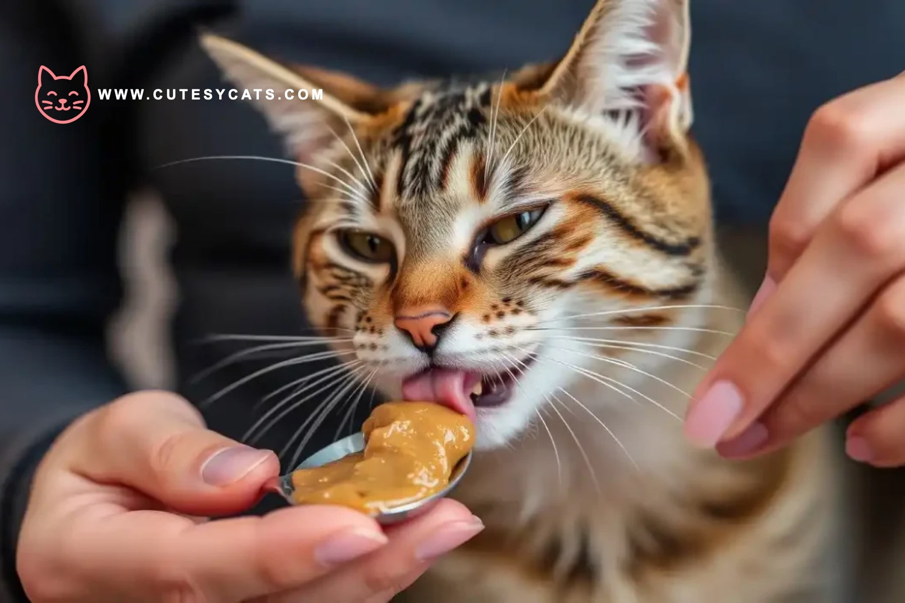 Is It Safe for Cats to Eat Peanut Butter?