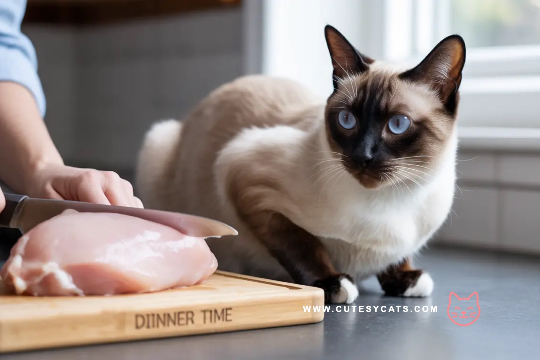 Is It Safe for Cats to Eat a Chicken?